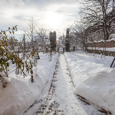 Viktoria Holiday home *